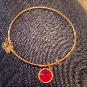 Alex and Ani Birthstone Bangle - Ruby